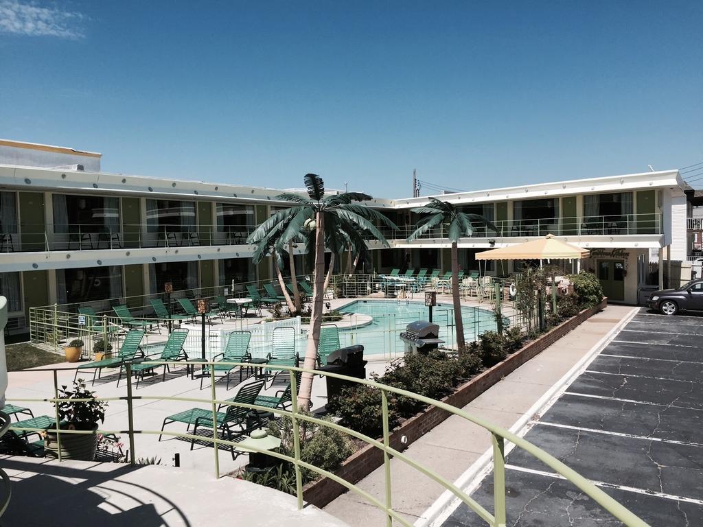 Caribbean Wildwood Crest