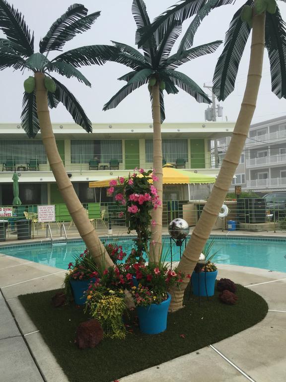 Motel Caribbean 2*